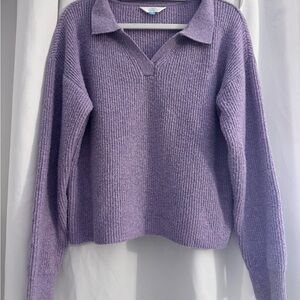 Market & Spruce Lavender V-Neck Sweater